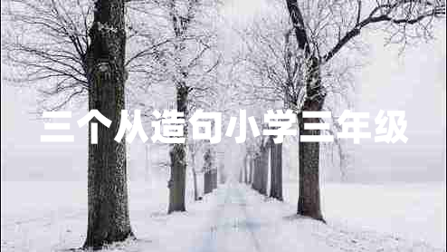 三個從造句小學三年級