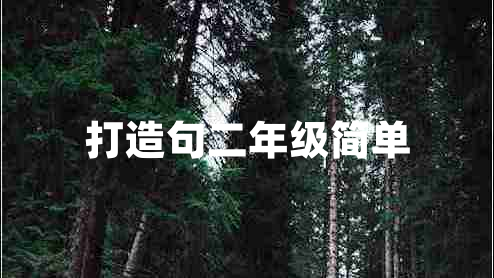 打造句二年級簡(jiǎn)單
