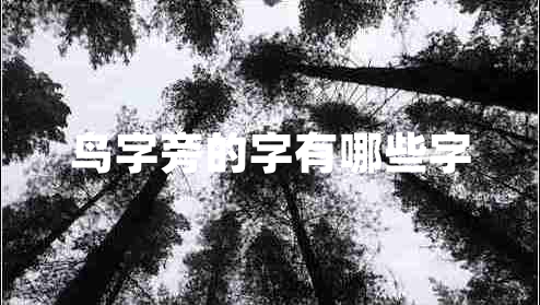 鳥字旁的字有哪些字