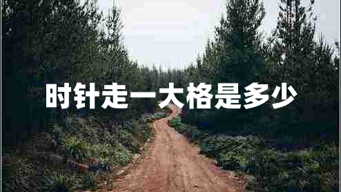 時針走一大格是多少