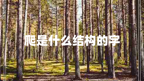 爬是什么結構的字