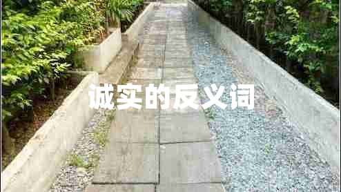 誠實(shí)的反義詞