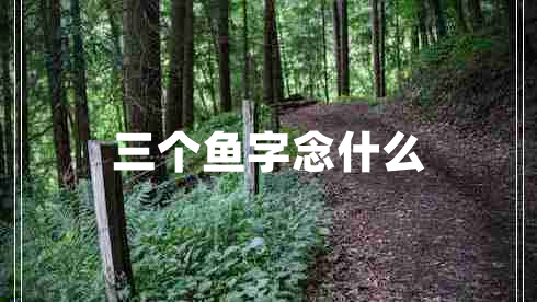 三個魚字念什么