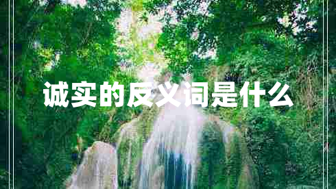 誠實的反義詞是什么