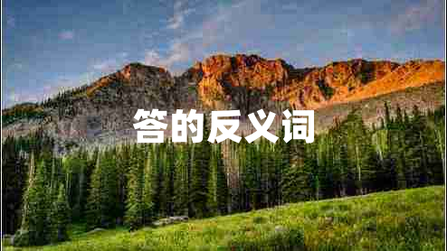 答的反義詞