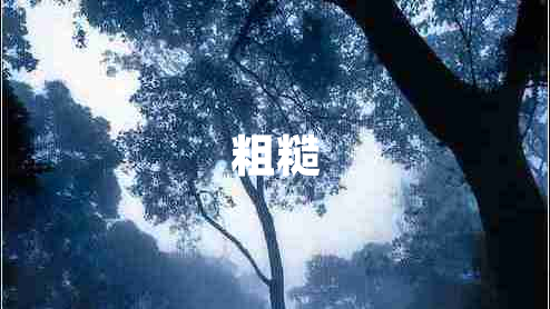 粗糙