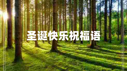 圣誕快樂(lè)祝福語(yǔ)