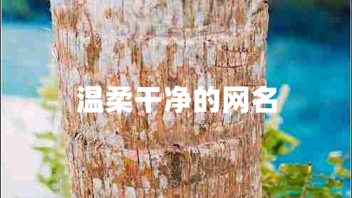 溫柔干凈的網(wǎng)名