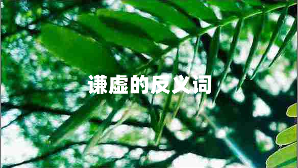 謙虛的反義詞