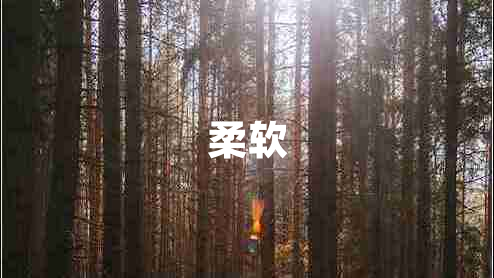 柔軟