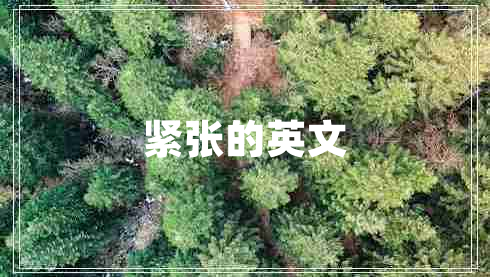 緊張的英文