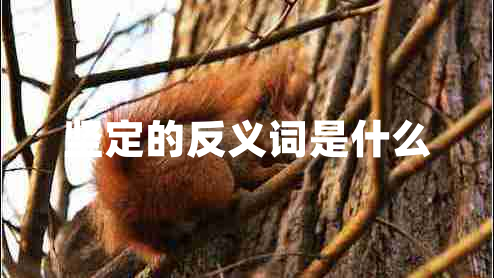 堅(jiān)定的反義詞是什么