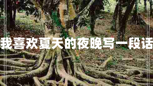 我喜歡夏天的夜晚寫(xiě)一段話(huà)
