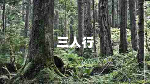 三人行