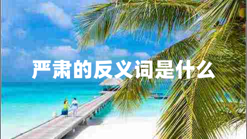 嚴肅的反義詞是什么