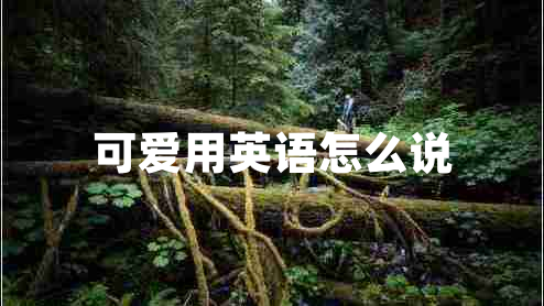 可愛用英語(yǔ)怎么說(shuō)