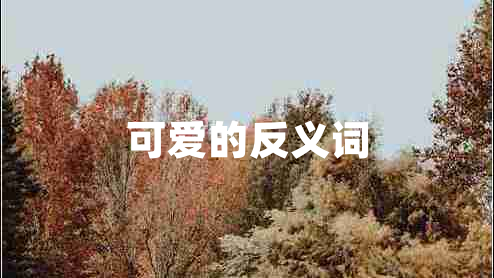 可愛(ài)的反義詞