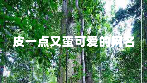皮一點(diǎn)又蠻可愛的網(wǎng)名
