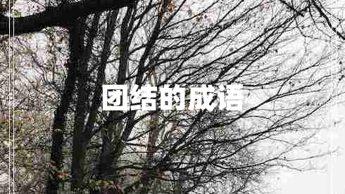 團結的成語(yǔ)