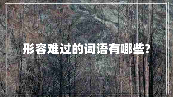 形容難過(guò)的詞語(yǔ)有哪些?