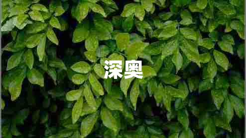 深?yuàn)W