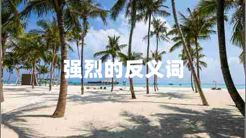 強烈的反義詞