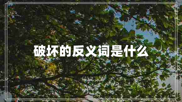 破壞的反義詞是什么