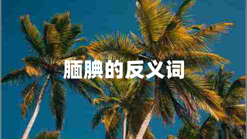 靦腆的反義詞