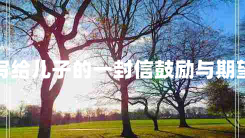 寫(xiě)給兒子的一封信鼓勵與期望