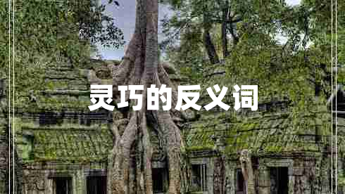 靈巧的反義詞
