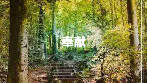 奉獻(xiàn)