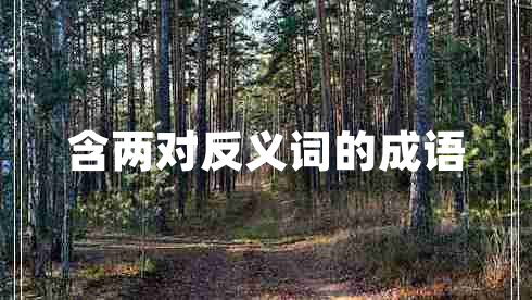 含兩對反義詞的成語(yǔ)
