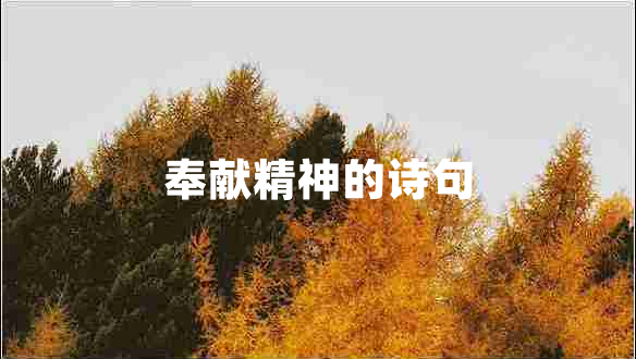 奉獻精神的詩句