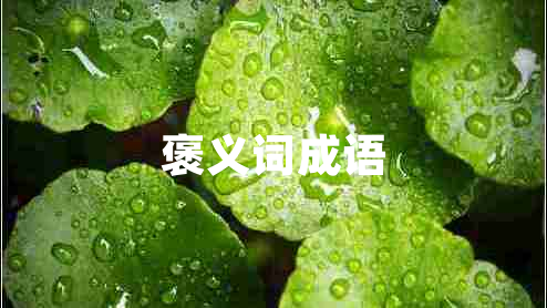 褒義詞成語