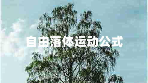 自由落體運動(dòng)公式