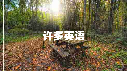 許多英語(yǔ)