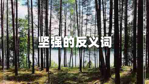 堅(jiān)強(qiáng)的反義詞