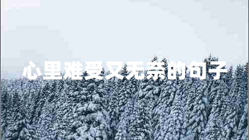 心里難受又無奈的句子