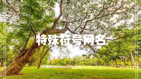 特殊符號網(wǎng)名