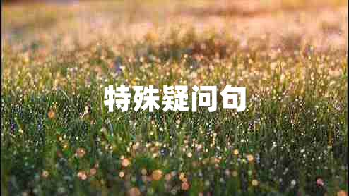 特殊疑問句