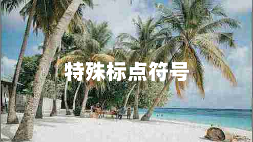特殊標(biāo)點(diǎn)符號(hào)