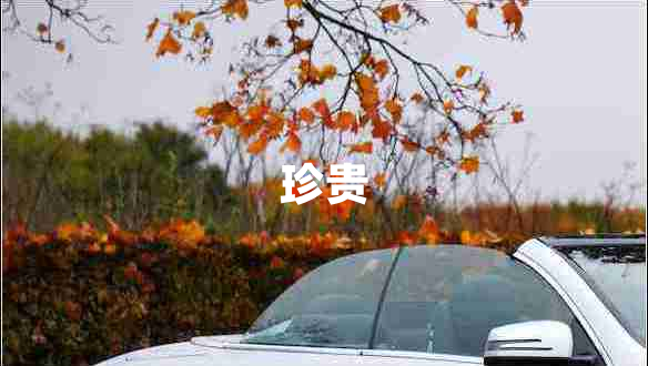 珍貴
