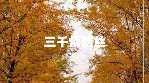 三千煩惱絲