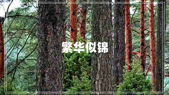 繁華似錦