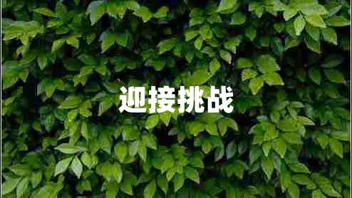 迎接挑戰(zhàn)