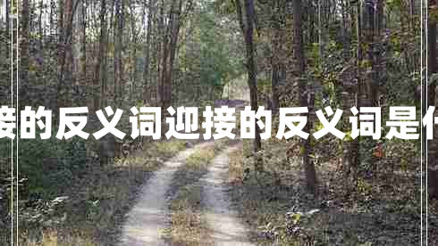 迎接的反義詞迎接的反義詞是什么