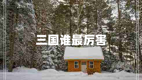 三國誰最厲害