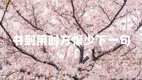 書到用時(shí)方恨少下一句