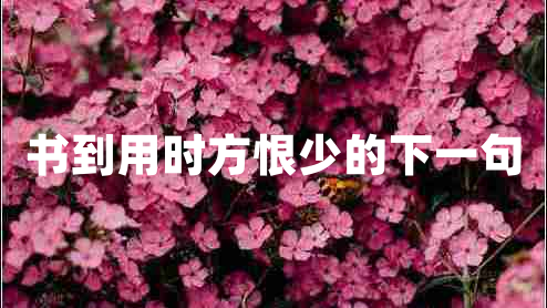 書到用時方恨少的下一句