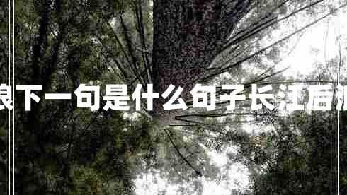 長(cháng)江后浪推前浪下一句是什么句子長(cháng)江后浪推前浪下一句